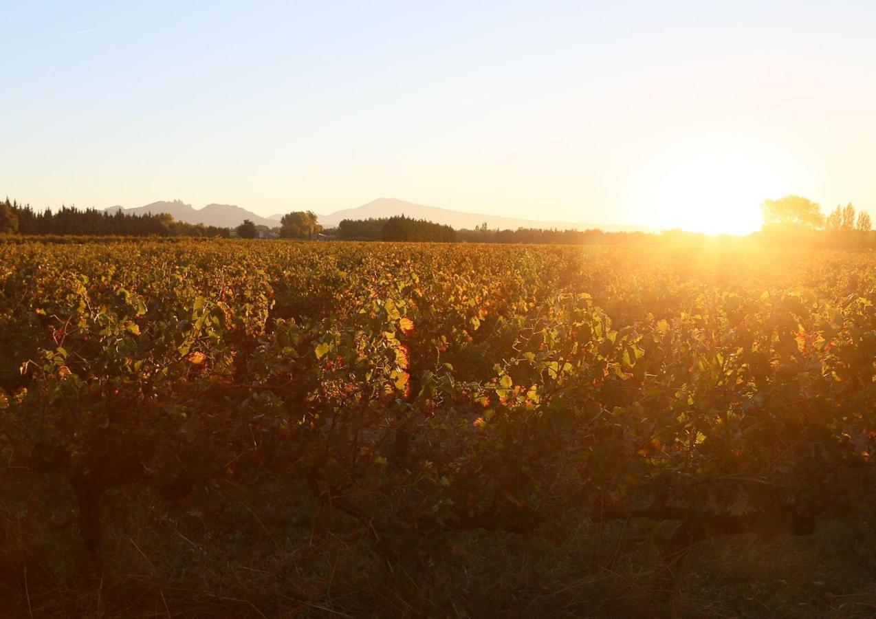 Mas Du Clos De L'Escarrat Jonquieres  Экстерьер фото