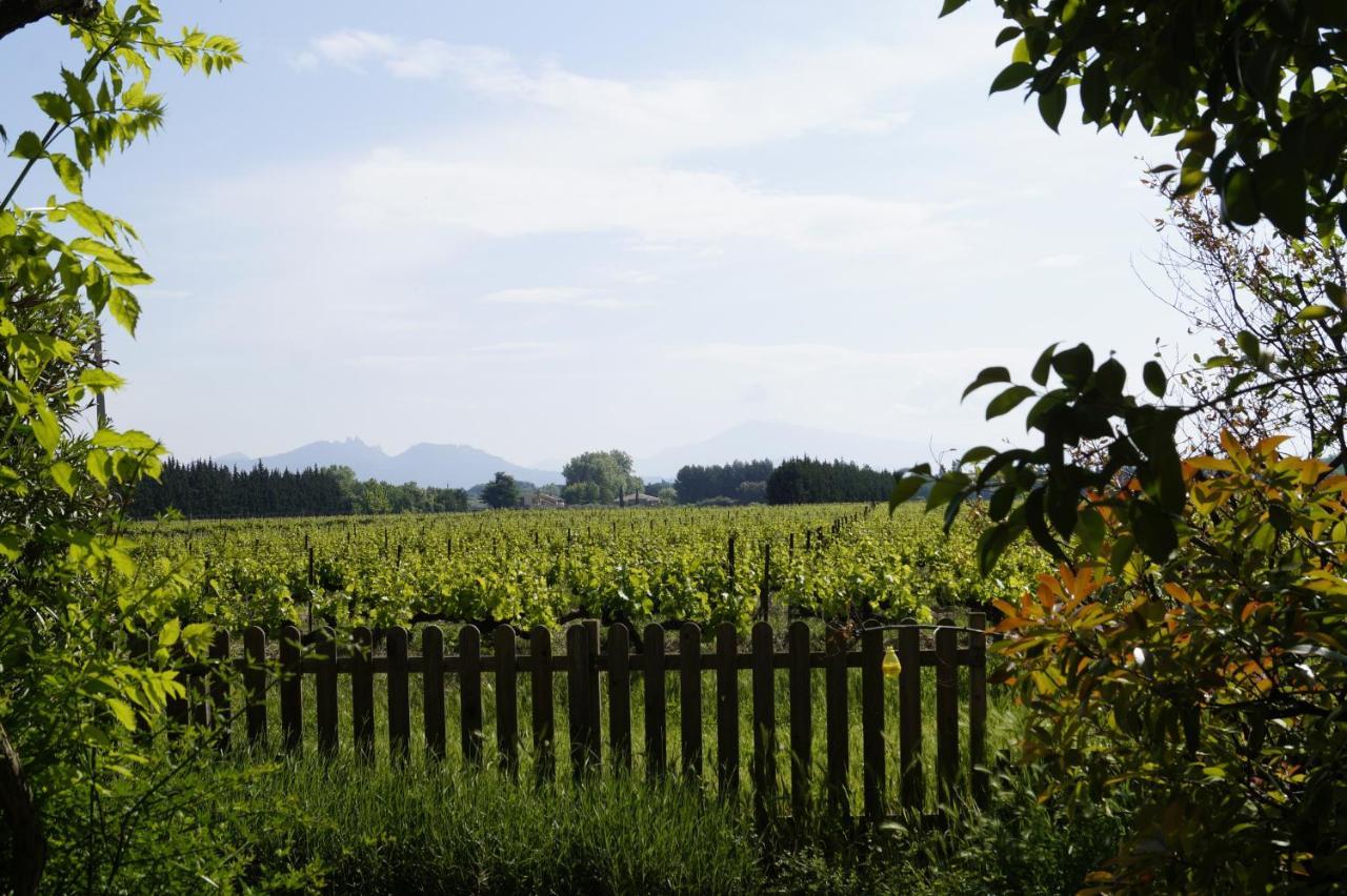 Mas Du Clos De L'Escarrat Jonquieres  Экстерьер фото